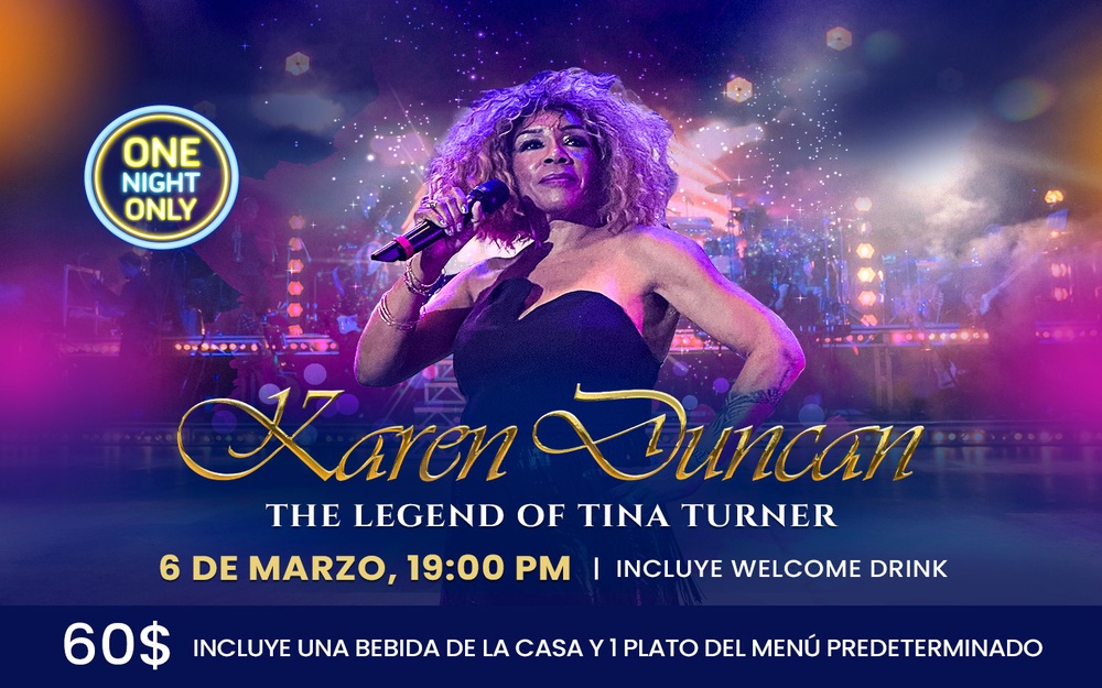 Homenaje a Tina Turner
