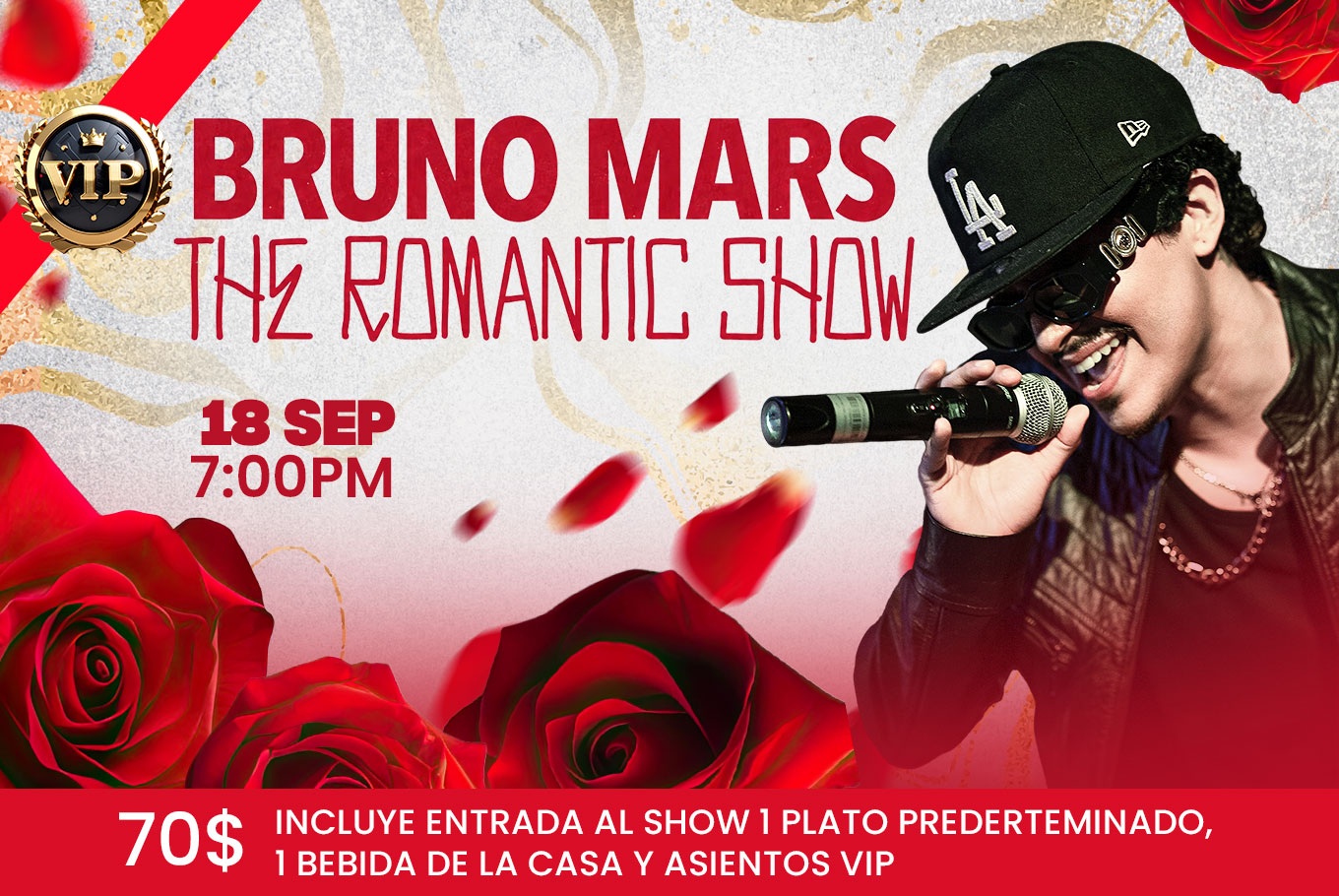 Bruno Mars 18 Sep - VIP